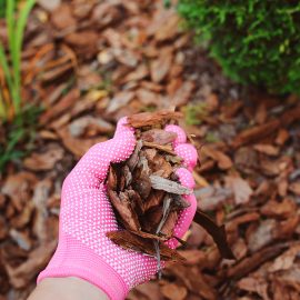 A beginner’s guide to mulching