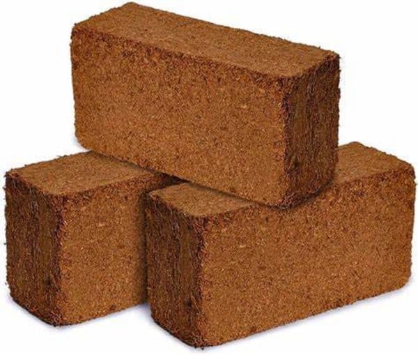 Three brown brick-sized blocks of coco coir.