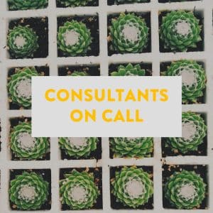 Consultants on Call