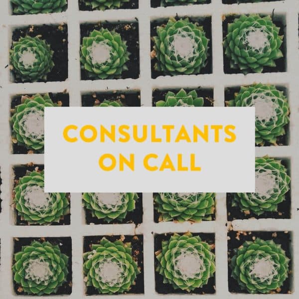 An image of cacti in a tray with the text "Consultants on Call" overlayed.