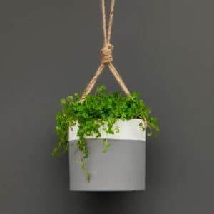 Hanging Ceramic Planter