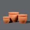 Three round terracotta pot plants in large, medium and small. The pots feature beading decal around the rim.