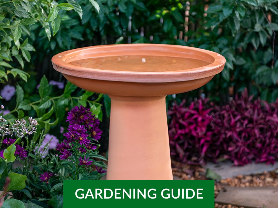 A terracotta bird bath sitting in the middle of a garden filled with purple and green plants.