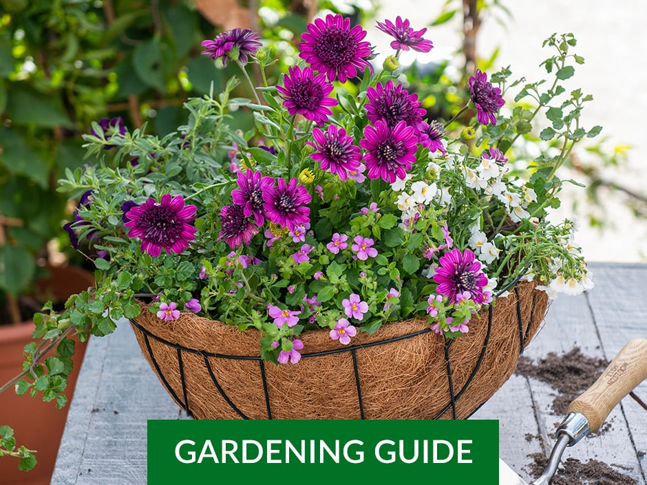 A wooden basket filled with a colourful arrangement of purple chrysanthemums and other small pink flowers.