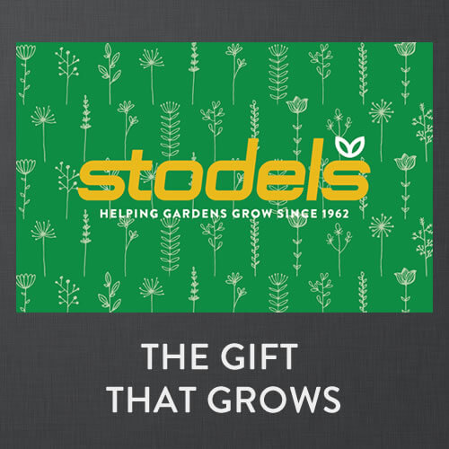 A photo of a Stodels gift card with the words "The Gift That Grows."