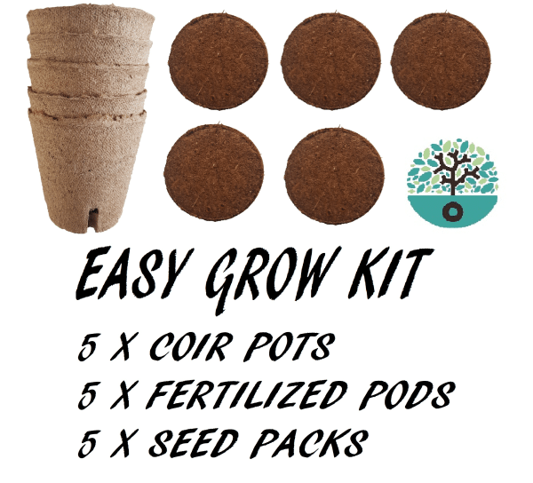 Easy grow kit containing coir pots, fertilized pods, seed packs, and branding logo.