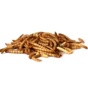 DRIED MEALWORMS 150G