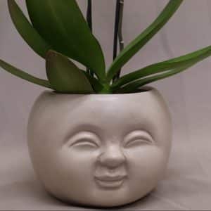 POT COVER GREY