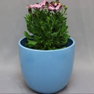 POT COVER LARGE LIGHT BLUE