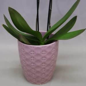 POT COVER LILAC