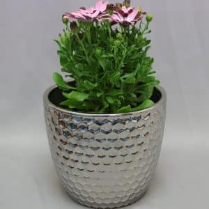 POT COVER LARGE SILVER