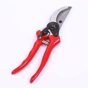 SHEAR GARDEN PRUNING
