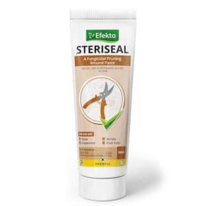 Steriseal 100ml