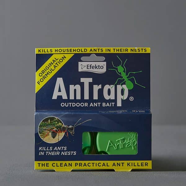 A blue box with yellow branding containing Efekto AnTrap outdoor ant bait.