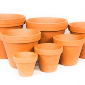 Terracotta Pot Standard