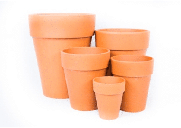 Multiple sizes of narrow terracotta plant pots, arranged from smallest in the front to biggest in the back.