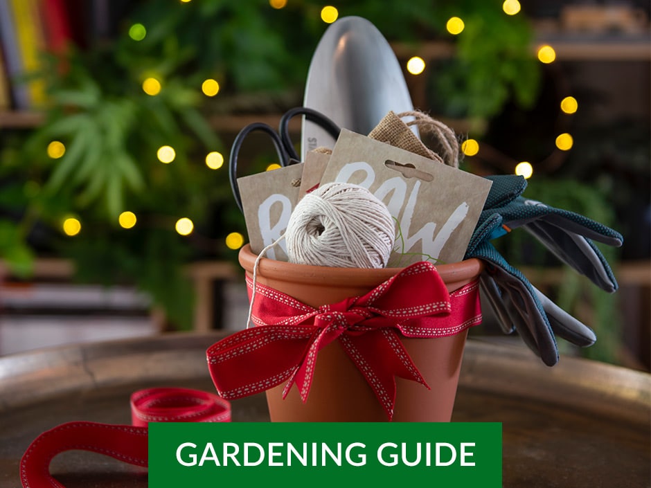 A plant pot filled with various gardening items, including a ball of string, gloves, scissors, and gardening shovel. There is a red ribbon around the pot and a Christmas tree in the background.