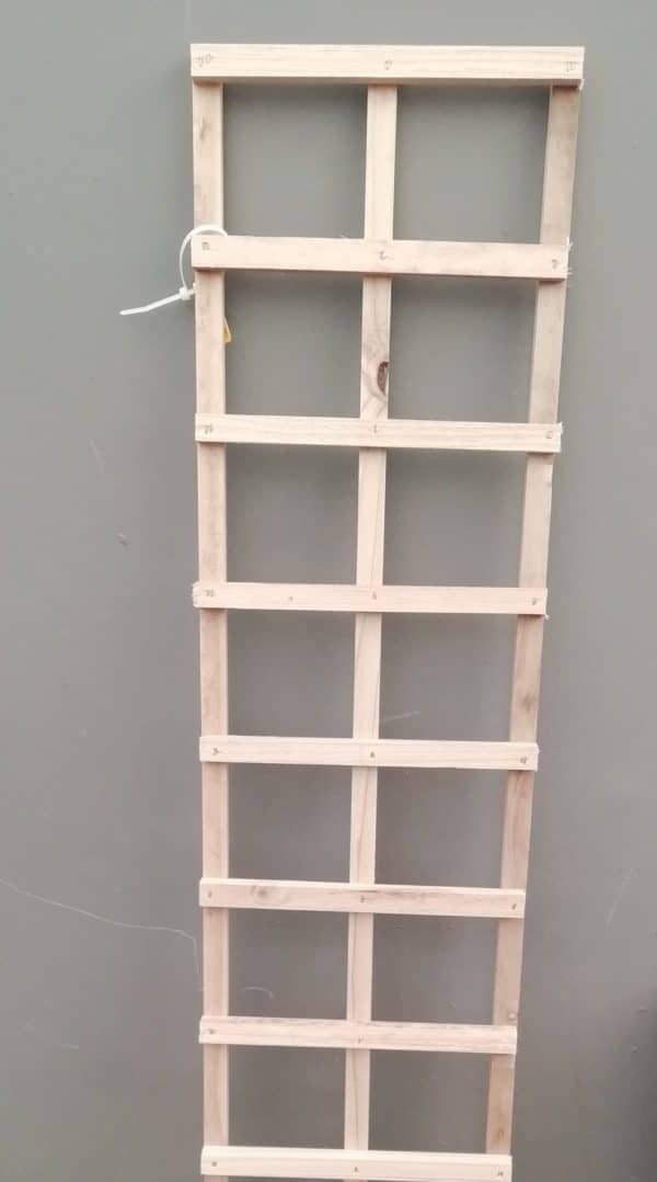 Unglazed wooden window frame with multiple panes