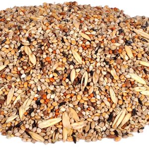 BUDGIE MIX SEED