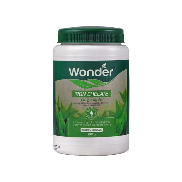 White plastic bottle with green lid and label containing Wonder iron chelate.