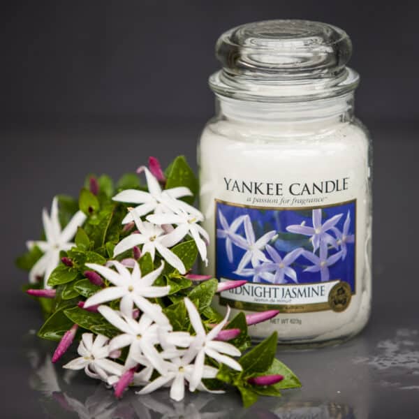 A glass jar of Yankee Candle Midnight Jasmine scented candle, with jasmine flowers in the foreground.