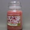 A large glass jar of Yankee Candle brand Cherry Blossom scented candle.