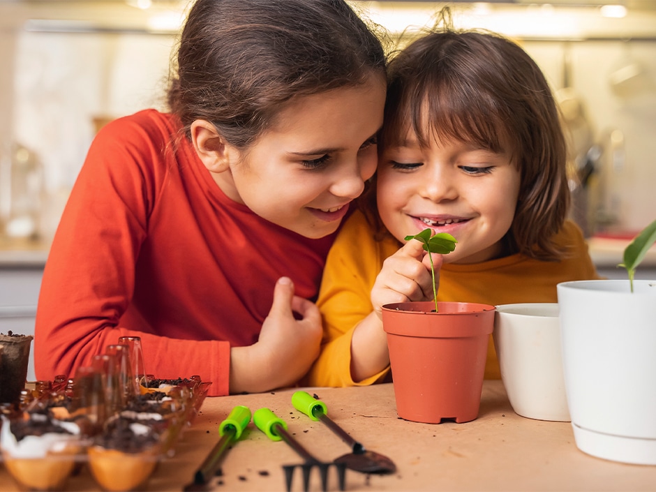 Two children looking at a young green seedling at a table with small garden tools in the foreground.