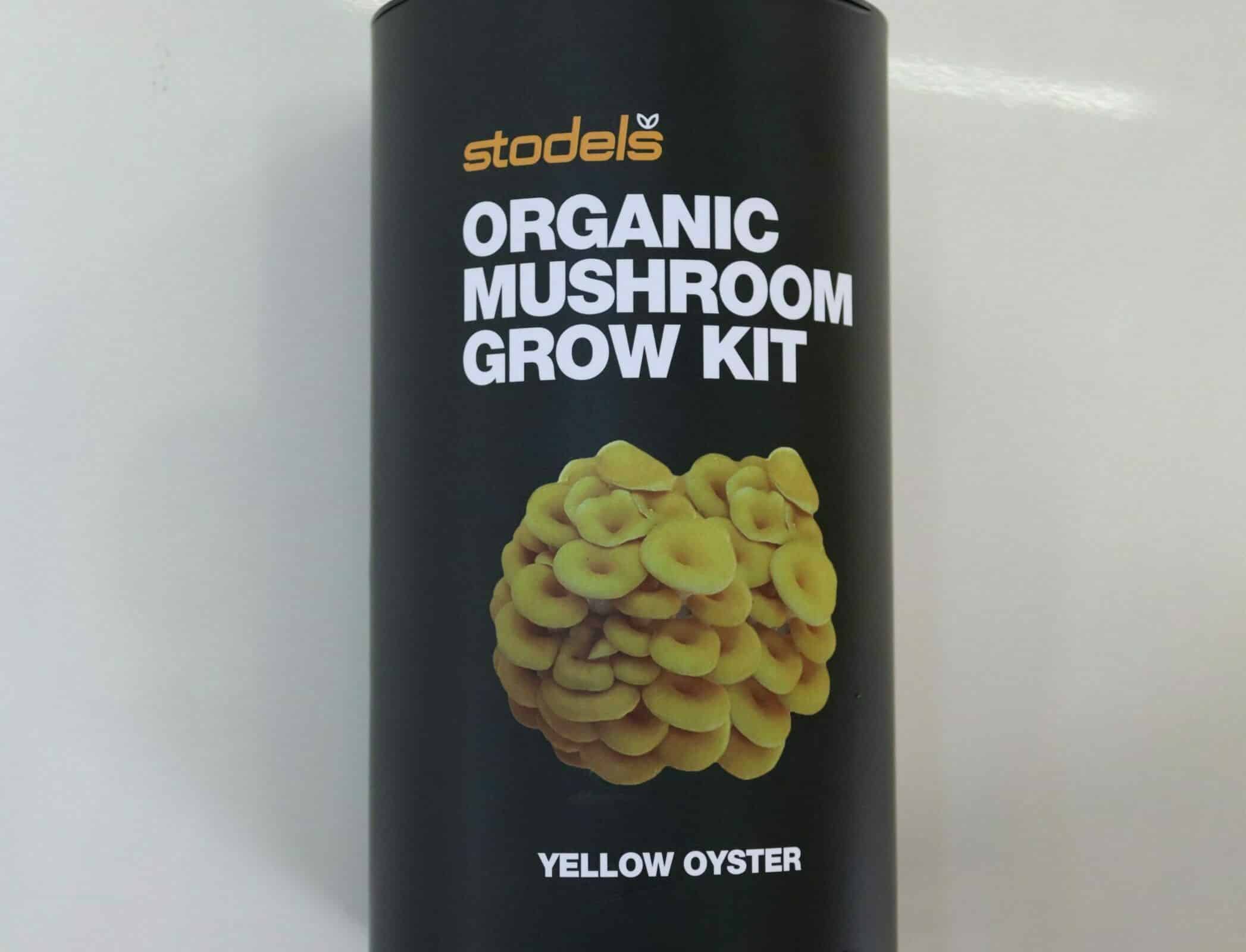 Stodels organic mushroom grow kit yellow oyster in a black tube