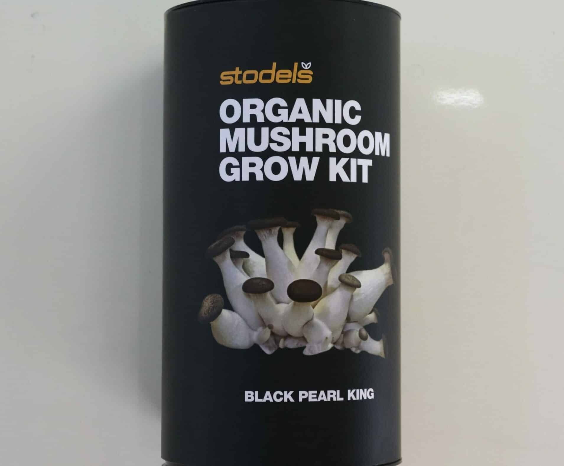 A black tube of Stodels organic mushrooom grow kit featuring black-topped white mushrooms and the text Black Pearl King.