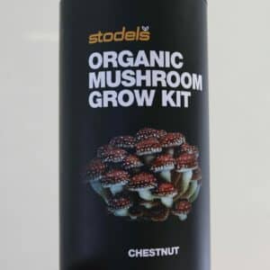 STODELS MUSHROOM GROW KIT CHESTNUT