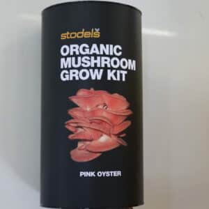 STODELS MUSHROOM GROW KIT PINK OYSTER
