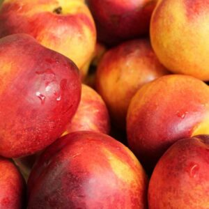 NECTARINE MAYGLO 20cm