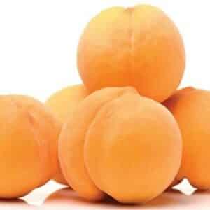 PEACH KEISIE 20cm