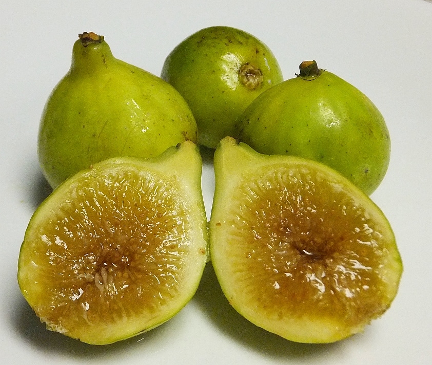 Closeup of four green Kadota figs. One fig has been cut open to expose the brown flesh.