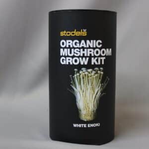 STODELS MUSHROOM GROW KIT WHITE ENOKI