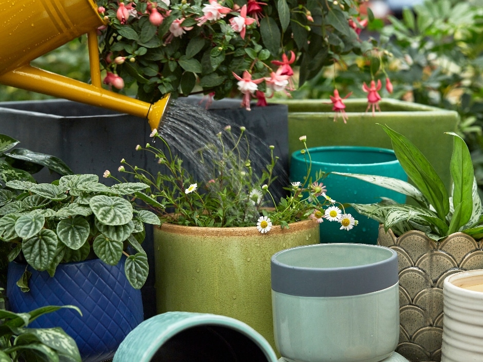 A watering can pouring water on daisies amongst other potted plants in a garden.