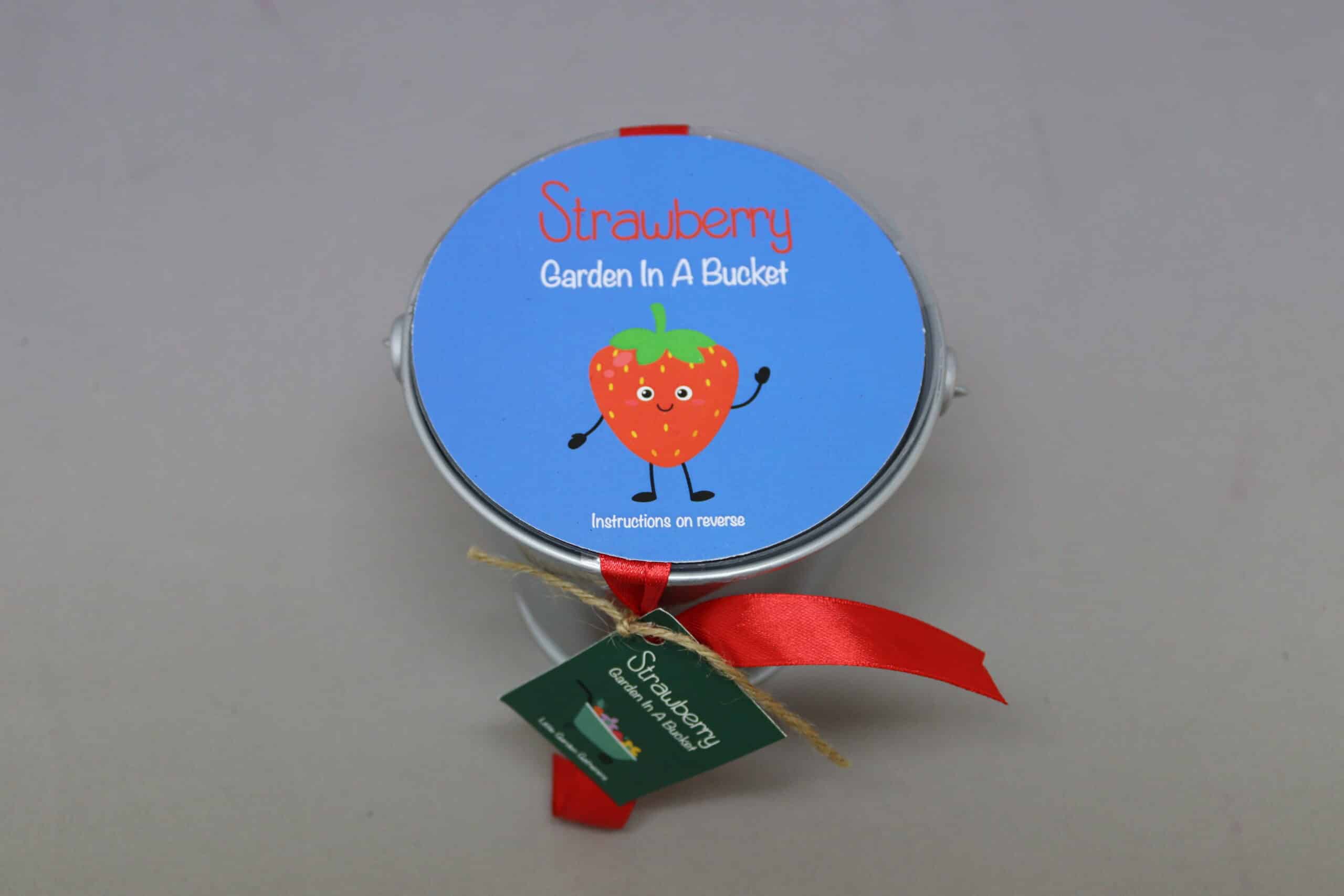 Branded blue lid and red ribbon on a small silver bucket containing seeds and soil to grow strawberries.