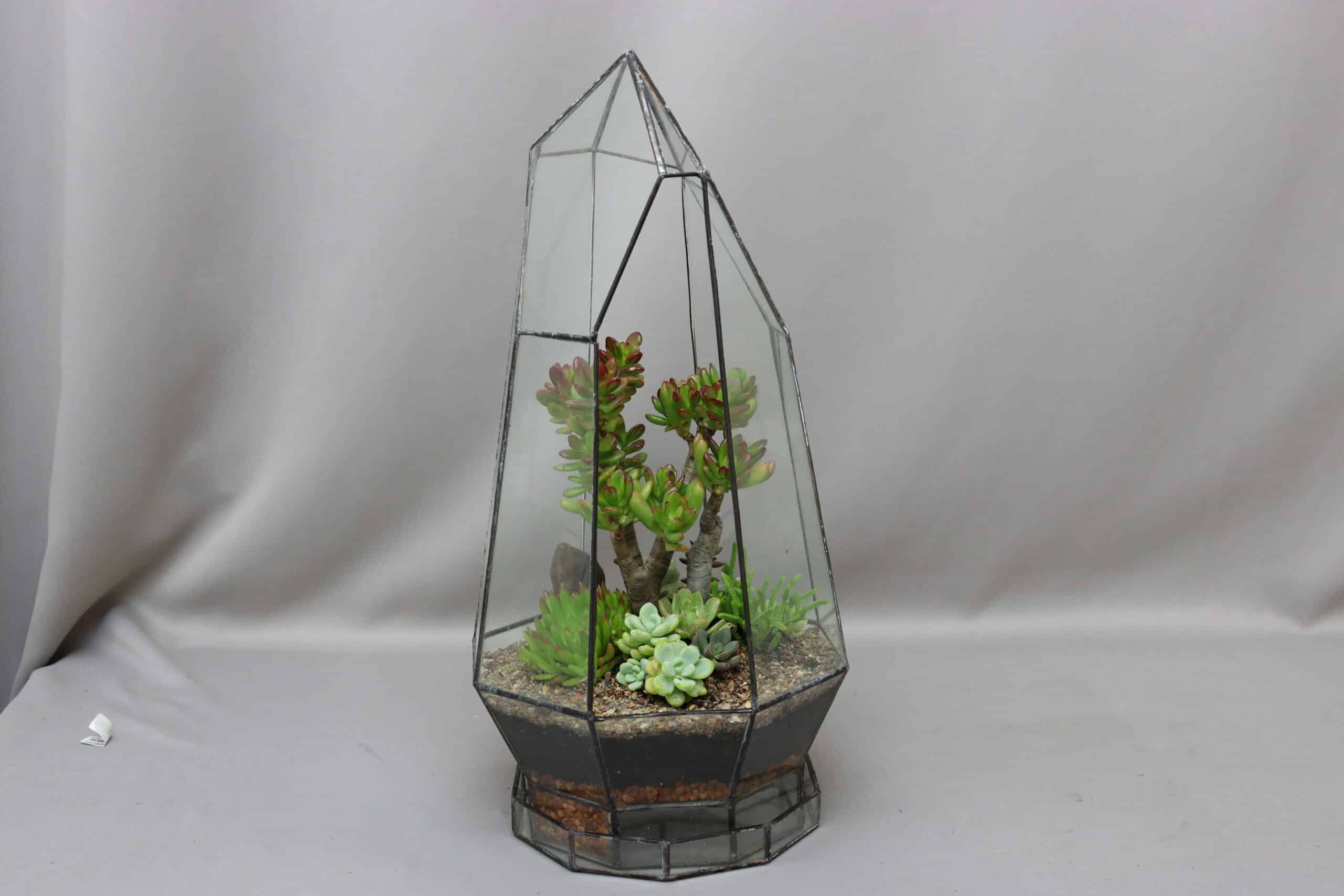 A medium geometric-inspired glass and brass terrarium with assorted succulents inside against a plain grey background.