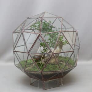 TERRARIUM PENTAKIS MEDIUM