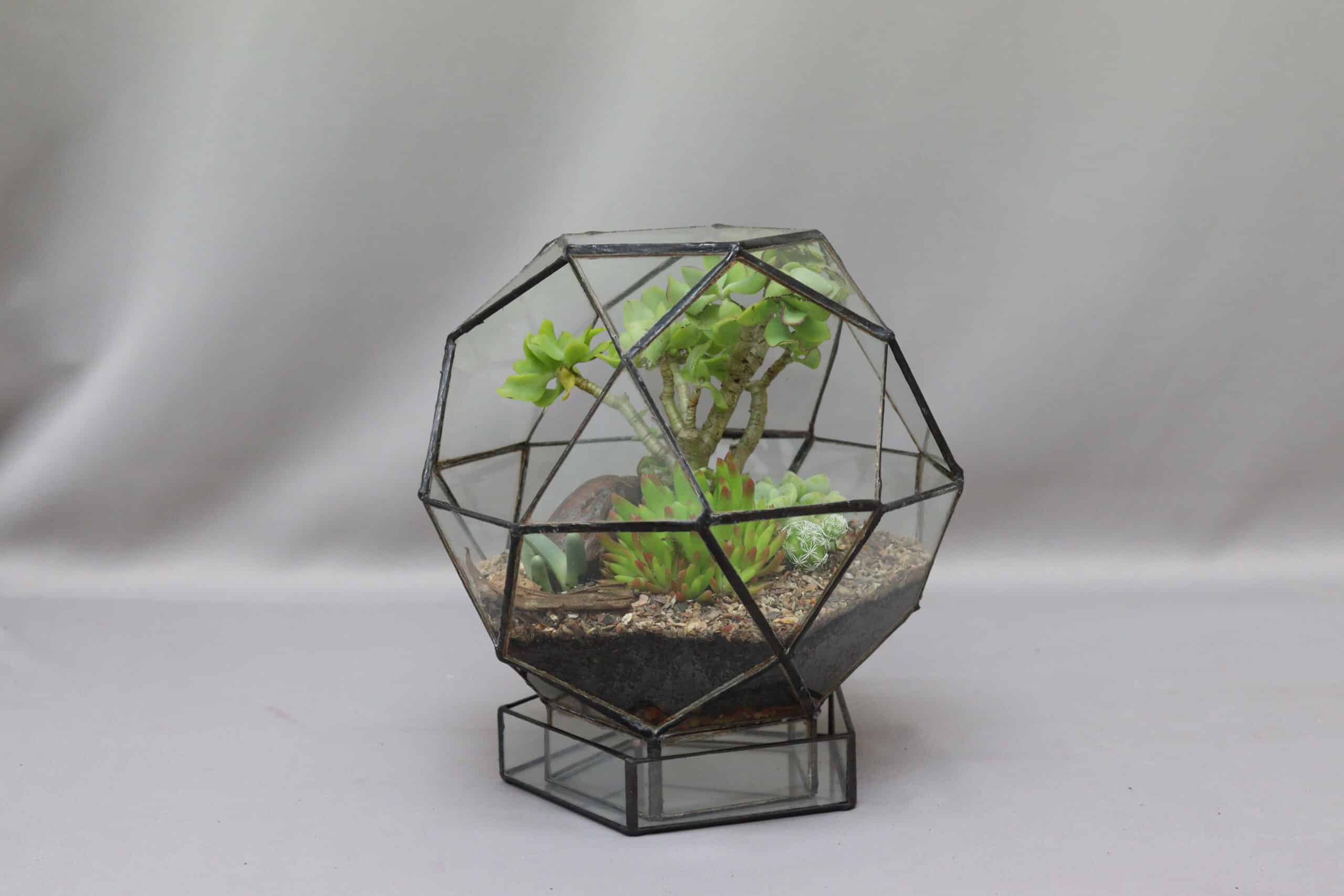 A medium geometric-inspired glass terrarium planter with an assortment of succulents inside, against a plain grey background.