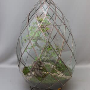 TERRARIUM BRIOLETTE MEDIUM