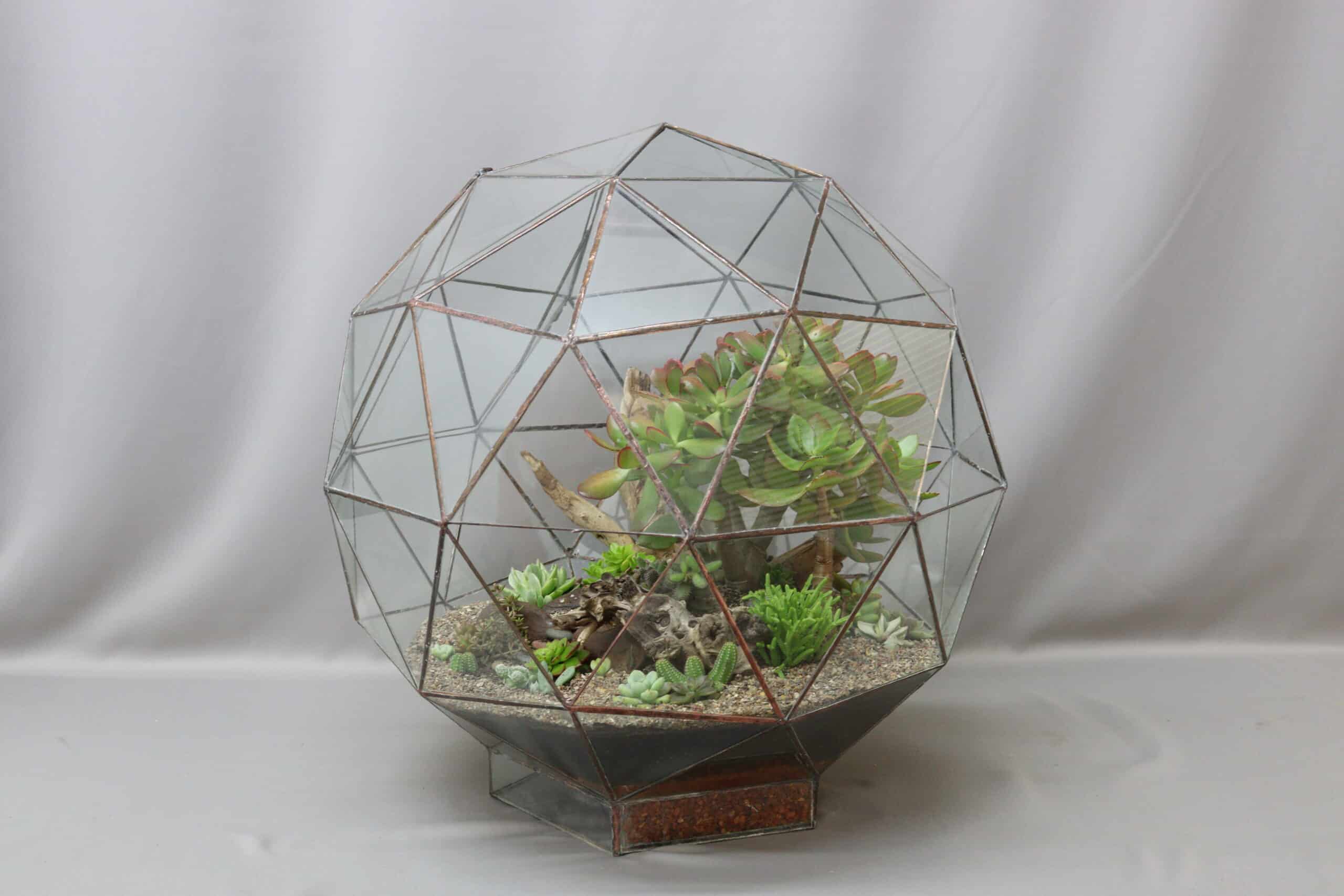 A large geometric-inspired glass terrarium planter with an assortment of succulents inside, against a plain grey background.
