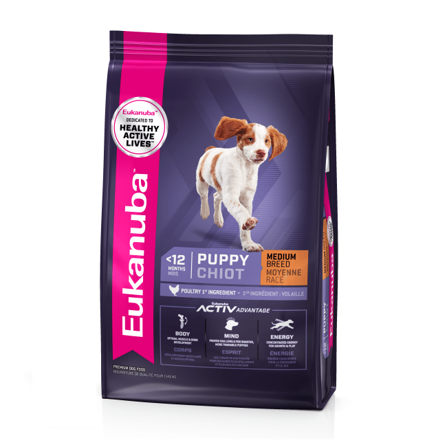 A 3kg bag of Eukanuba puppy dog food for medium breeds.