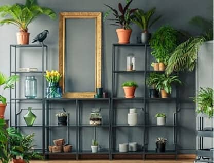 A large set of metal shelves against a grey wall with an assortment of pot plants in various colours.