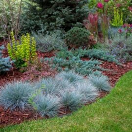 3 Mistakes to avoid when planning your perennial garden
