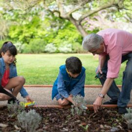 Get the kids involved with growing vegetables this winter