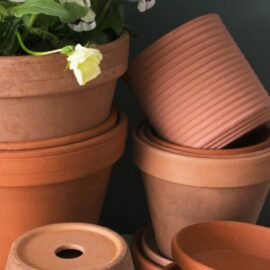 How to stop terracotta pots from cracking