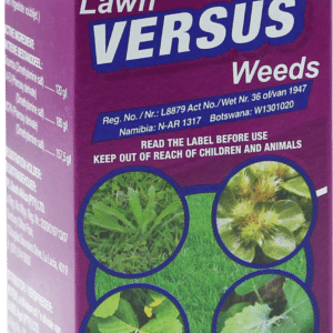 VERSUS 100ML
