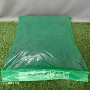 DG MUSHROOM MULCH 30DM