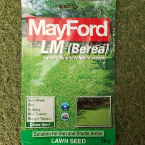 BEREA GRASS SEED 30G